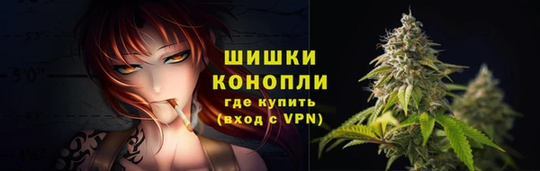 сатива Тобольск