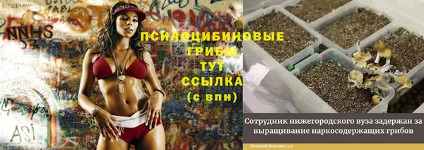 jwh Туринск