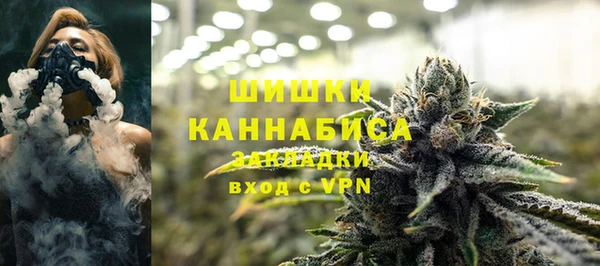 PSILOCYBIN Ростов